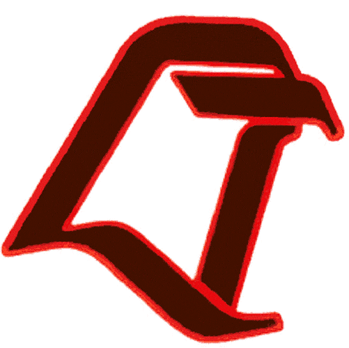 Bowling Green Falcons 1990-2005 Alternate Logo v2 diy iron on heat transfer